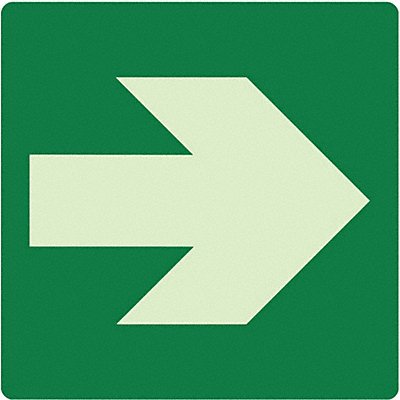 Photoluminescent Safety Sign 8x8in Plstc