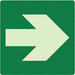 Photoluminescent Safety Sign 8x8in Plstc