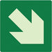 Photoluminescent Safety Sign 8x8in Plstc