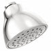 Shower Head Bulb 2.5 gpm