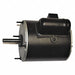 Motor Dayton For 484X50 484X59