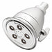 Shower Head Bulb 2.5 gpm