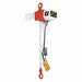 Electric Chain Hoist 250 lb 20 ft Lift