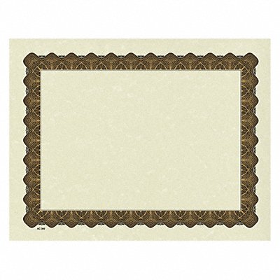 Certificate Gold Metallic Border PK100