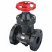 Gate Valve 2 Pipe Size Polypropylene