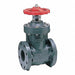 Gate Valve 10 Pipe Size Polypropylene