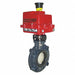 Butterfly Valve 3 Pipe Size PVC