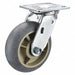 Standard Plate Caster Swivel 500 lb.