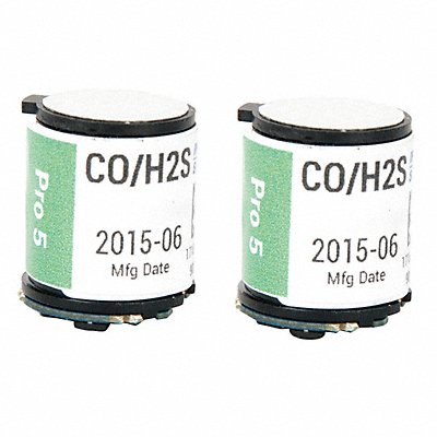 Large Replacement Dual Sensor CO H2S