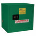 Pesticide Safety Cabinet 6 gal Green