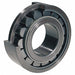 Cylindrical Roller Brg 217 85 mm Bore