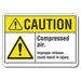 Caution Sign 7 inx10 in Plastic