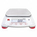 Compact Counting Bench Scale LCD