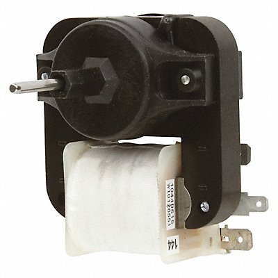 Evaporator Motor