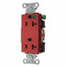 Receptacle Red 20 A 2P3W Back Side 1PK