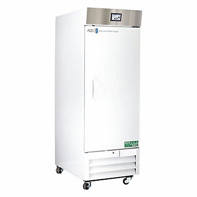 Refrigerator Upright 26 cu ft.