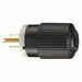 Straight Blade Plug 0.5 HP 125VAC