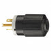 Straight Blade Plug Black/Wht 250VAC