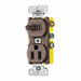 Combo Device Brown 1P Switch and Recpt