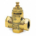 Flow Check Valve 1-1/4 In FNPT Cast Iron