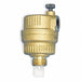 Automatic Vent Valve 1/4 in NPT