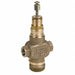 Two-Way Globe Valve 1 1/2 In NPT 29 Cv
