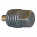 Square Head Plug Magnetic 1 1/4 in MNPT