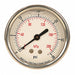 D1365 Pressure Gauge Liquid Filled 2-1/2 In