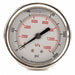 D1365 Pressure Gauge Liquid Filled 2-1/2 In