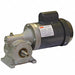 AC Gearmotor 45 rpm TEFC 115/208-230V