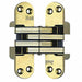 Hinge Invisible Satin Brass 4 5/8 In