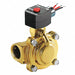 Solenoid Valve 120VAC 10.1 H Explosion