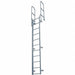 Fixed Ladder WlkThru 16 ft 8 In H Steel