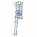 Fixed Ladder Sft Cage WlkThru 25ft.8In H