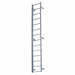 Fixed Ladder 14 ft 3 In H Steel