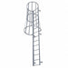 Fixed Ladder w/Safety Cage 20 ft 3in H