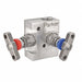 Manifold Valve 1/4 In FNPT 2 1/2 In L