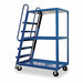 Stock Picking Ladder Cart 63-1/2 in H