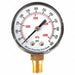 D1338 Pressure Gauge Test 2 In