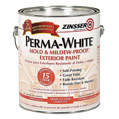 Paint Acrylic White