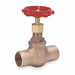 Globe Valve 1-1/2 Bronze Socket 200 psi