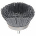 Cup Brush 2-3/4 in 0.035 in