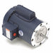 50 Hz Motor 3/4 HP 1 425 RPM 110/220V