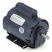 50 Hz Motor 1/2 HP 1 425 RPM 110/220V