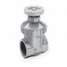 Gate Valve 1 in FNPT PVC