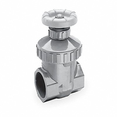 Gate Valve 1 in FNPT CPVC