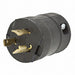 Plug 250V 20A L6-20P 2P 3W 1PH