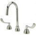 Gooseneck Chrome Zurn AquaSpec Brass