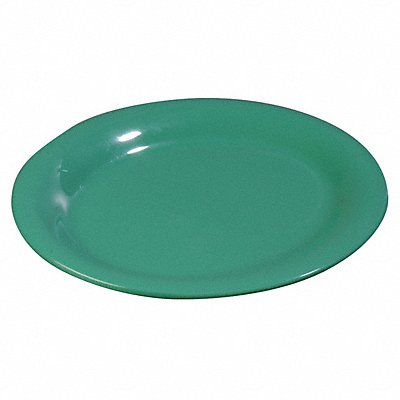 Dinner Plate 9.05 Dia Green PK24