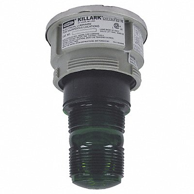 Hazardous Warning Light Xenon Green 120V